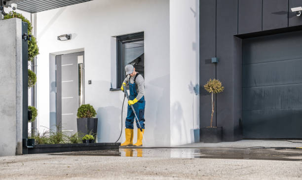 Best Solar Panel Cleaning  in Adrian, MN